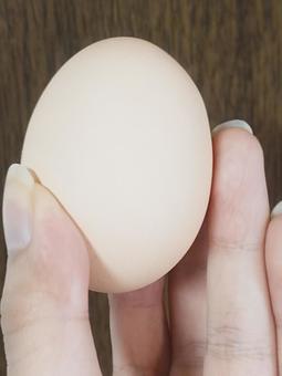 たまごを手に持つ人 たまごを手に持つ人の写真