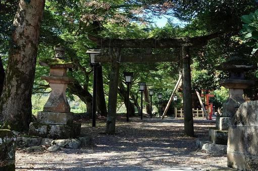 島根県-弥栄神社-鳥居 島根県-弥栄神社-鳥居の写真