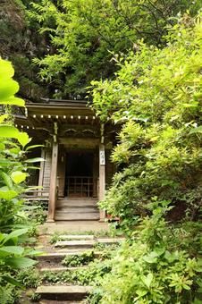中尊寺11 中尊寺11の写真
