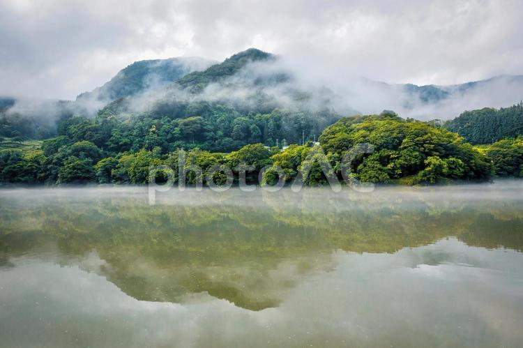 霧に包まれた新緑の渓谷風景 自然,風景,川の写真素材