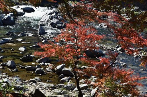 川 川の写真