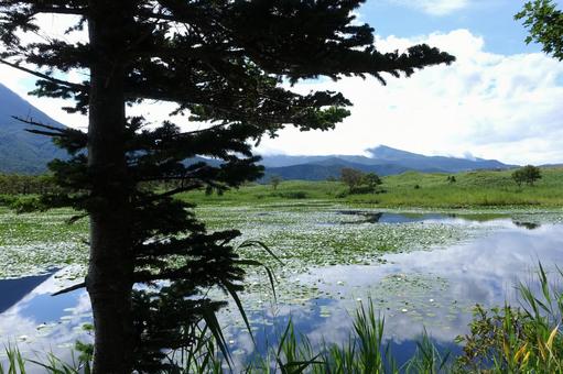 知床五胡の風景の写真