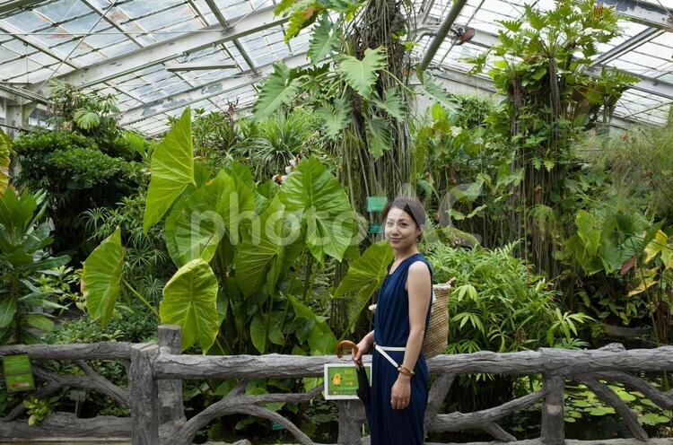 緑の前で微笑む女性 日本,新緑,緑の写真素材