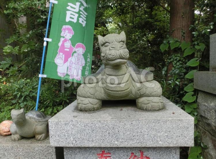 柴崎神社の景色-3 柴崎神社,千葉県我孫子市柴崎,社紋の写真素材