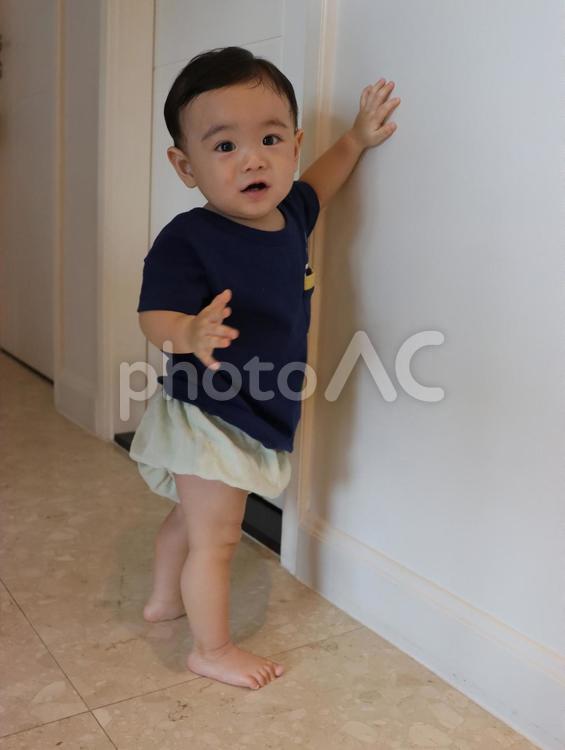 立つ練習をする赤ちゃん 赤ちゃん,ベビー,０歳の写真素材