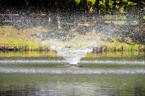 公園の噴水⑹の写真