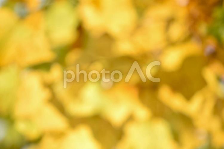 抽象　秋イメージ 抽象,抽象的,イメージの写真素材