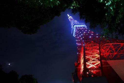 東京タワーの七夕ライトアップ 東京タワーの七夕ライトアップ 東京タワー,ライトアップ,七夕の写真素材