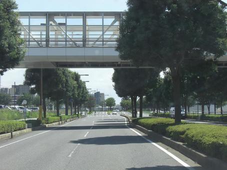 歩道橋 歩道橋の写真