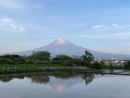 水鏡に映る富士の春 水鏡に映る富士の春の写真