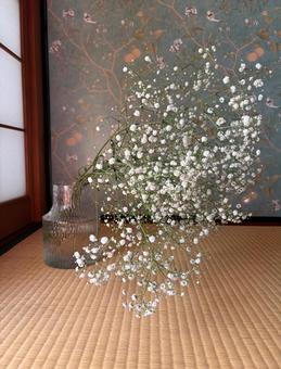 和室と花 カスミソウ,和室,花の写真素材