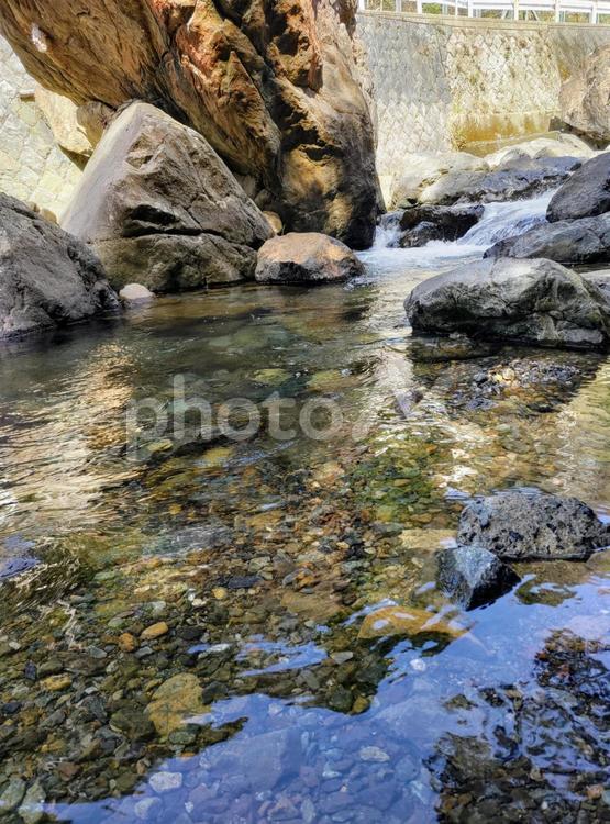 せせらぎの渓流に下りてみた 川,風景,癒しの写真素材