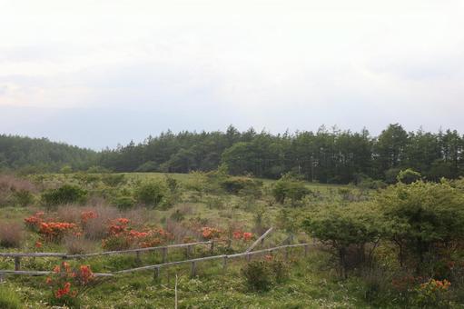 高ボッチ高原 高ボッチ高原の写真
