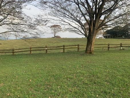 牧場 牧場,まきば,ピクニックの写真素材