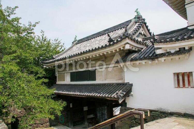 和歌山城本丸の城門 和歌山城,本丸,城門の写真素材