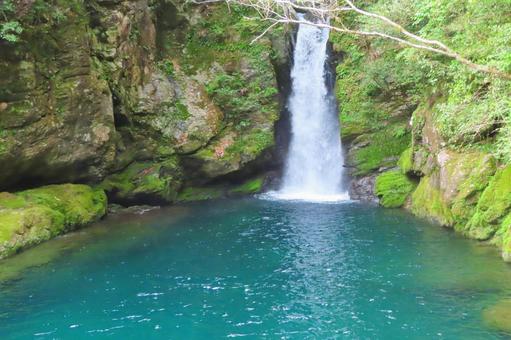 【高知県】にこ淵 【高知県】にこ淵の写真