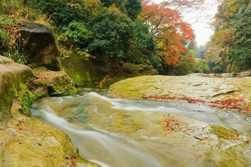 養老渓谷 養老渓谷,粟又の滝,滝の写真素材