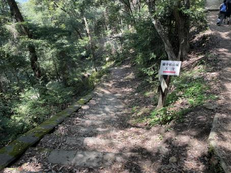 山の中の石段 山の中の石段 階段,備中松山城,山道の写真素材