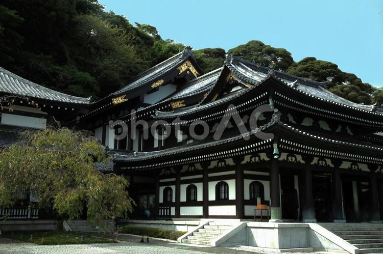 長谷寺ー鎌倉市ー神奈川県 長谷寺,鎌倉市,長谷観音の写真素材