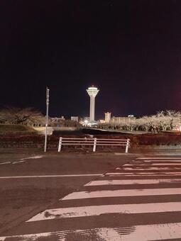 夜の横断歩道と五稜郭タワー 夜,町並み,徒歩の写真素材