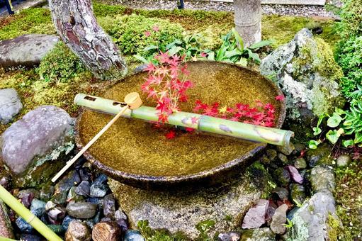 花手水 花手水の写真