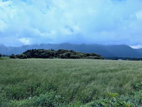 牧草地 牧草地の写真
