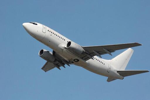 飛行機　ボーイング737 旅客機,航空機,エンジンの写真素材