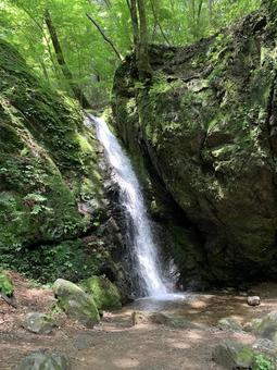 深い森に佇む落差ある滝と清流の景観 滝,水流,落差の写真素材