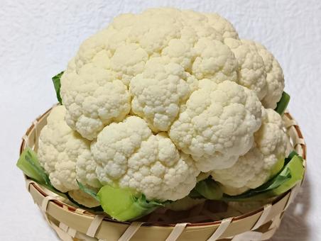 カリフラワー カリフラワー カリフラワー,野菜,食材の写真素材