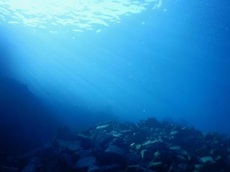 海中写真 海中写真の写真
