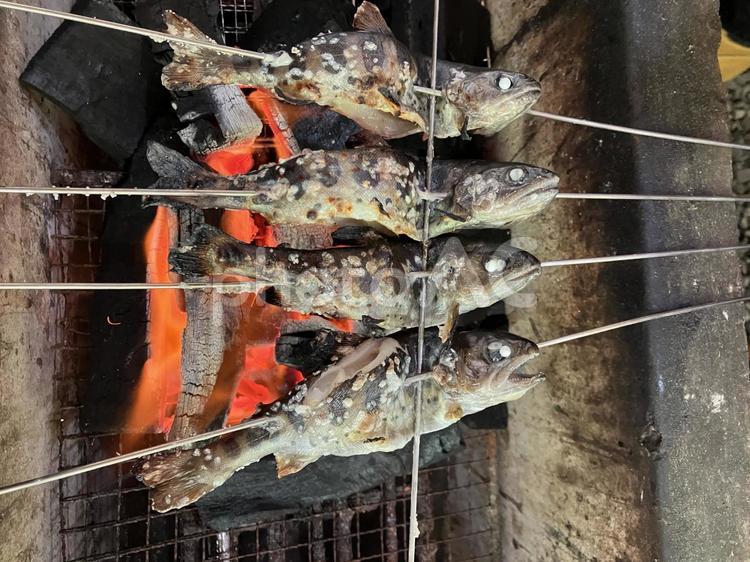 魚の塩焼き 食べ物,アマゴ,塩焼きの写真素材