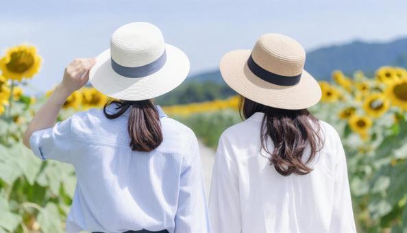 ひまわり畑を歩く女性たちの写真