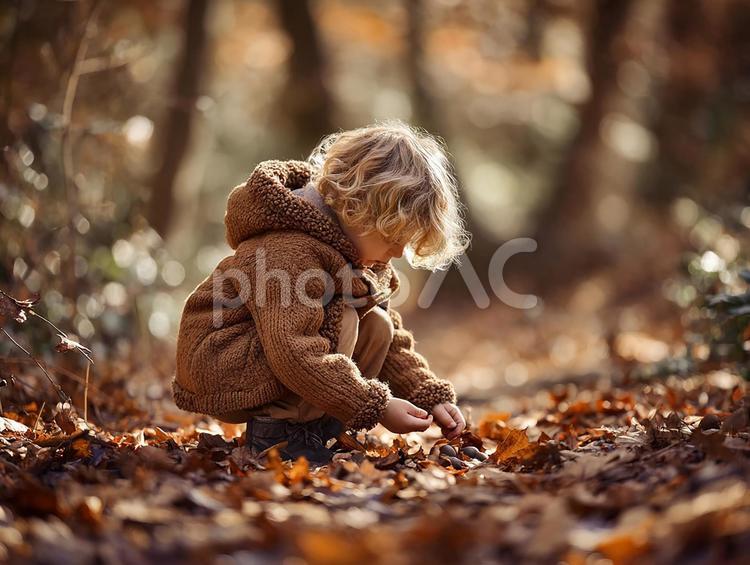 森の中で自然を探検する幼い子 子供,森,秋の写真素材