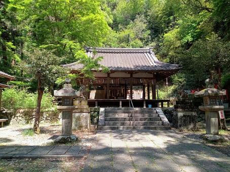 椎尾神社 椎尾神社 椎尾神社,神社仏閣,境内の写真素材