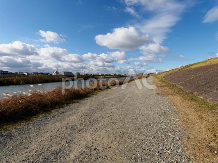 秋の大和川河川敷の風景 大和川,秋,秋景色の写真素材