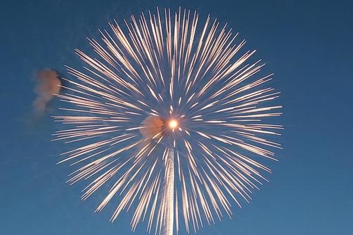 25年長岡まつり 花火 25年長岡まつり 花火の写真