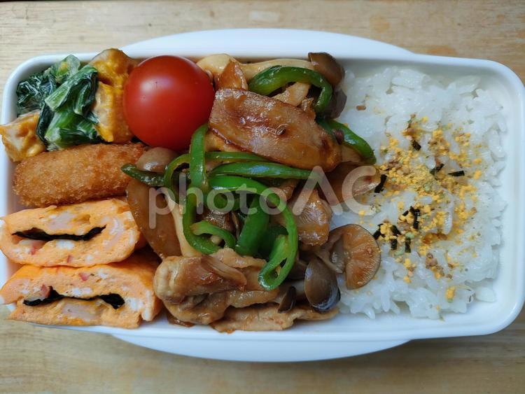 豚肉ピーマンごぼうコチュジャン炒め弁当！ お弁当,お昼,お昼ごはんの写真素材