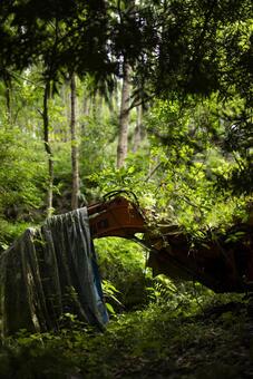 森の中のショベルカー 林業,森,林道の写真素材
