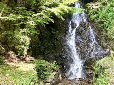 Choon Falls, JPG