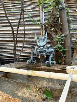 手水舎の龍と清水 手水舎,龍,神社の写真素材