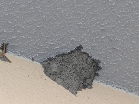 泥ハチの巣 ドロバチ,泥ハチ,蜂の巣の写真素材