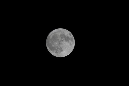 満月 満月 月,夜,月夜の写真素材