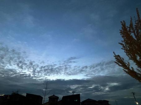 夕空、くもり空、木 夕空、くもり空、木 夕空,くもり空,木々の写真素材