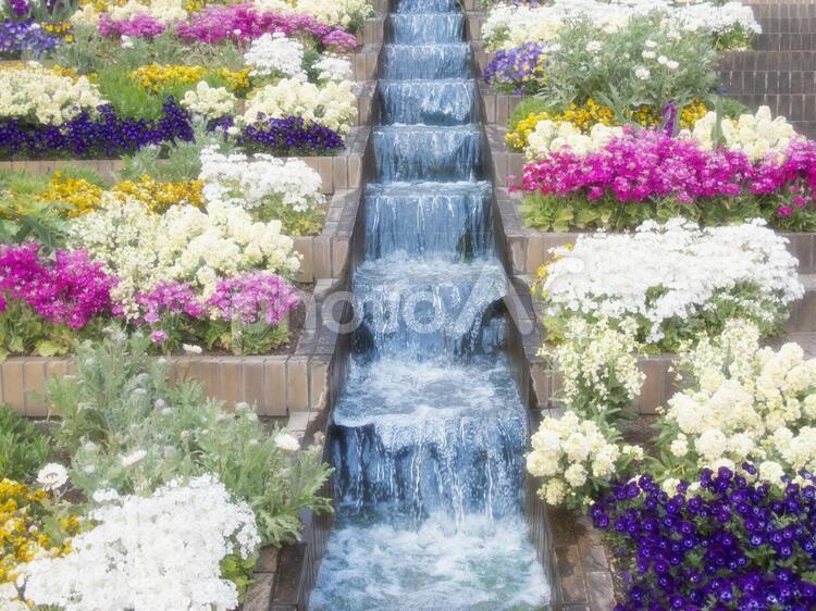 水が流れる階段花壇 花壇,小川,花の写真素材