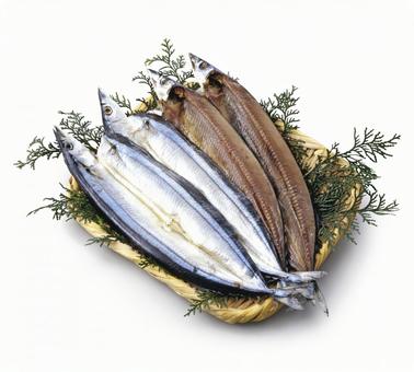 さんまの開き さんまの開き さんまの開き,秋刀魚,干物の写真素材