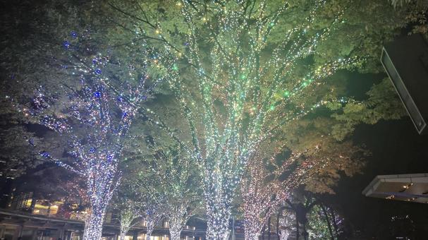 街のイルミネーション 六本木,日本,東京の写真素材