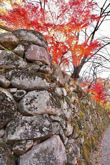 紅葉　長野県　懐古園 紅葉,長野県,懐古園の写真素材