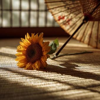 夏の和室を彩るひまわりと日本の伝統品 夏の和室を彩るひまわりと日本の伝統品の写真