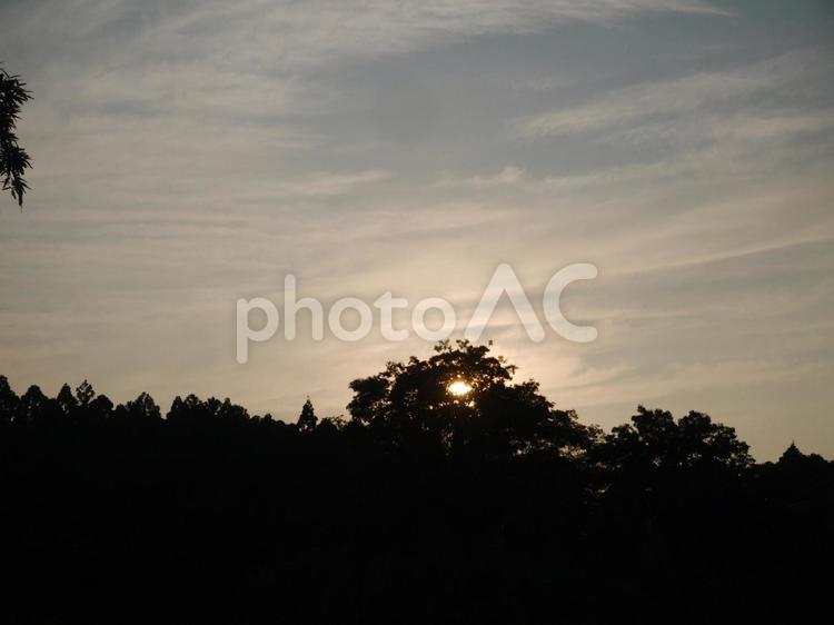 木の奥の夕日3 夕日,大きな木,空の写真素材