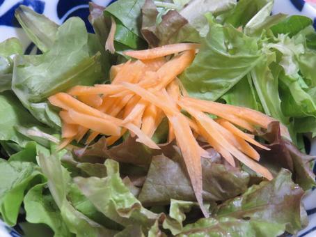 サラダ サラダ サラダ,葉野菜,ニンジンの写真素材